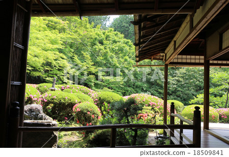 京都資生堂 18509841