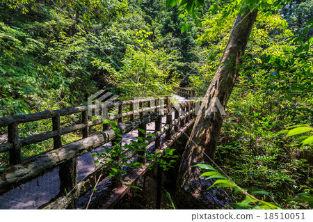 Breaststone Breaststone 18510051