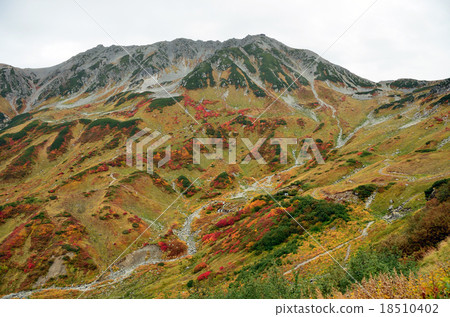 館山：山崎卡爾 18510402