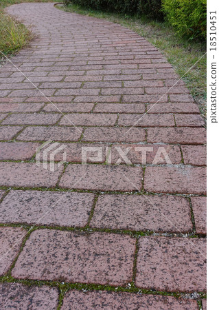 Park's promenade 18510451