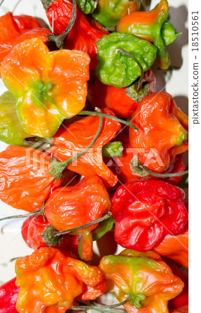 The vegetable Pepper. The vegetable Pepper. 18510561