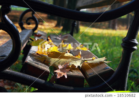 Autumn leaves 18510682