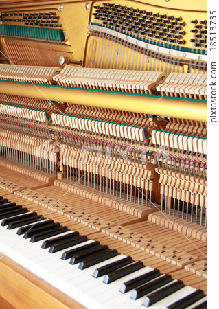 鋼琴內飾3 鋼琴內飾3 18513735