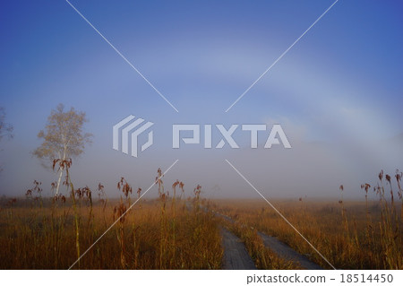 Happy white secondary Happy white secondary 18514450