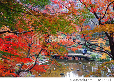 People who see the autumn leaves People who see the autumn leaves 18514471
