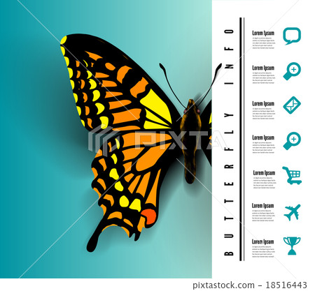 Realistic butterfly top view Realistic butterfly top view 18516443