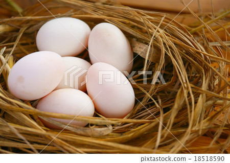 eggs in nest on the nature, Fresh eggs for cooking 18518590