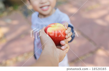 father hands give apple to child's hands 18520165
