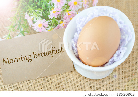 Morning breakfast and egg Morning breakfast and egg 18520802