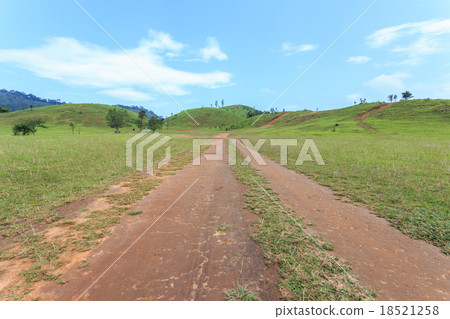 Grass mountain or bald mountain in Ranong province 18521258