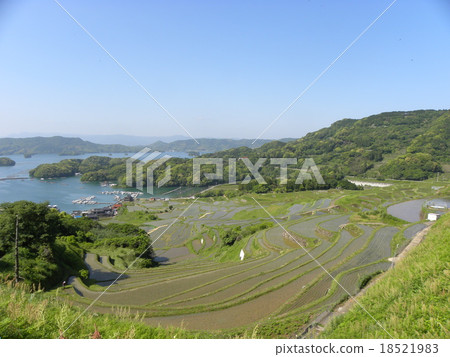 Rice terrace of Oura 18521983