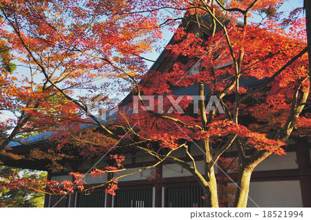 Autumn leaves of Mogoshienji 18521994