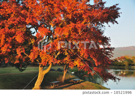 維多利亞女王時代的皇家議院秋葉 18521996