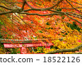 Autumn leaves torii red leaves torii 18522126