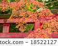 Autumn leaves torii red leaves torii 18522127