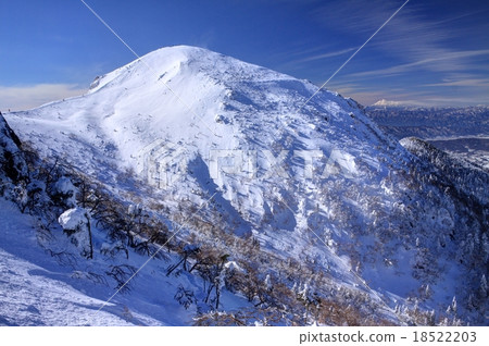 純白西天狗 純白西天狗 18522203