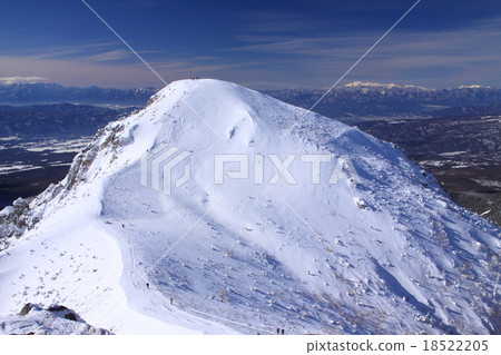 Pure white West Tengu 18522205