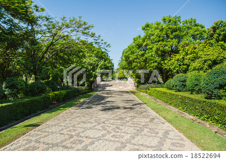 garden in park 18522694