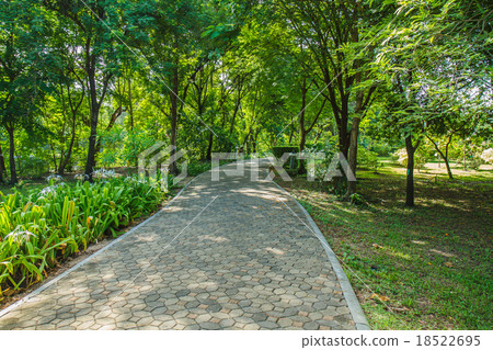 garden in park 18522695