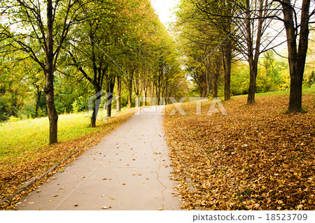 road autumn road autumn 18523709