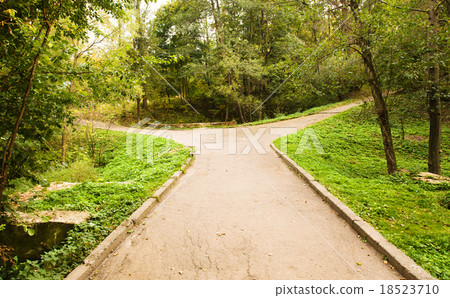 road autumn road autumn 18523710