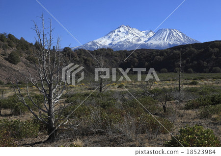 沙斯塔山 沙斯塔山 18523984