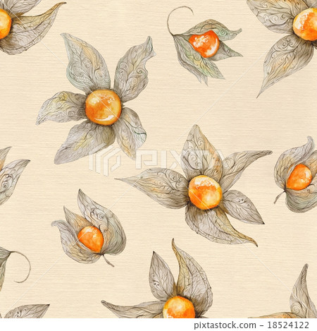 Warm Watercolor Physalis Pattern  18524122