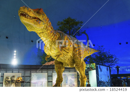 Dinosaur Museum 18524419