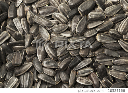 sunflower seeds sunflower seeds 18525166