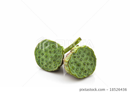 Calyx, Lotus seeds green . Calyx, Lotus seeds green . 18526436