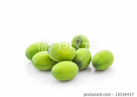Calyx, Lotus seeds green . Calyx, Lotus seeds green . 18526437