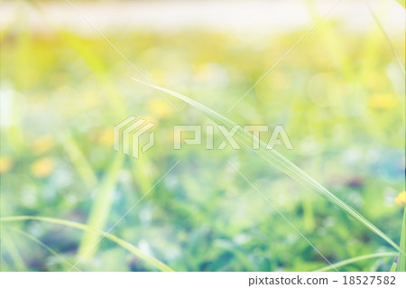 Grass with defocused background vintage style 18527582