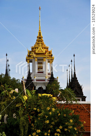 asia  thailand  in  bangkok flower     sky      18529024