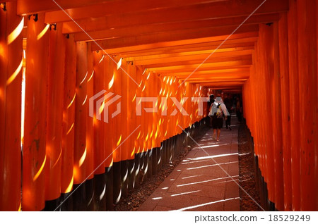 Kyoto "Fushimi Inari Shrine": Senbon Torii Kyoto "Fushimi Inari Shrine": Senbon Torii 18529249