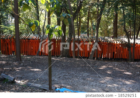 Kyoto "Fushimi Inari Shrine": Senbon torii seen from the outside Kyoto "Fushimi Inari Shrine": Senbon torii seen from the outside 18529251