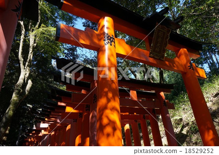 京都“伏見稻荷神社”:Senbon Torii 京都“伏見稻荷神社”:Senbon Torii 18529252