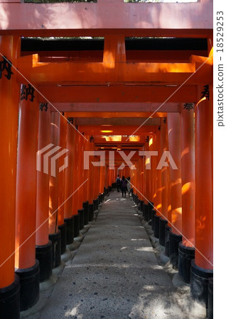京都“伏見稻荷神社”:Senbon Torii 京都“伏見稻荷神社”:Senbon Torii 18529253