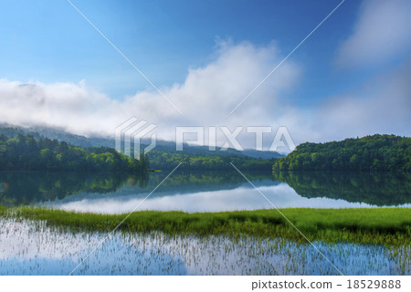 清晨onnettou 18529888