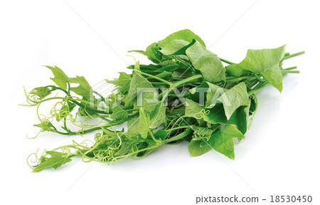 sweet bitter melon leaves 18530450