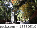 Autumn Toshogu Shrine 18530510