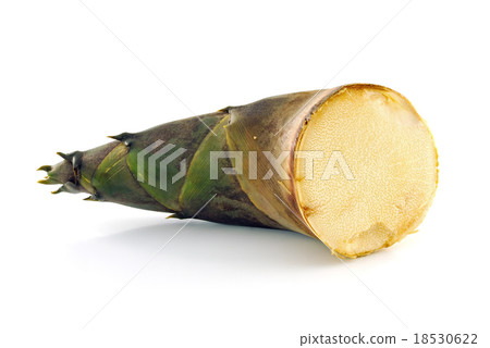 Bamboo shoot on white background Bamboo shoot on white background 18530622