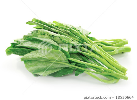 Chinese kale vegetable Chinese kale vegetable 18530664