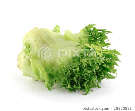 lettuce on white background 18530851