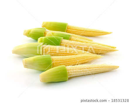 Young small corn Young small corn 18531328