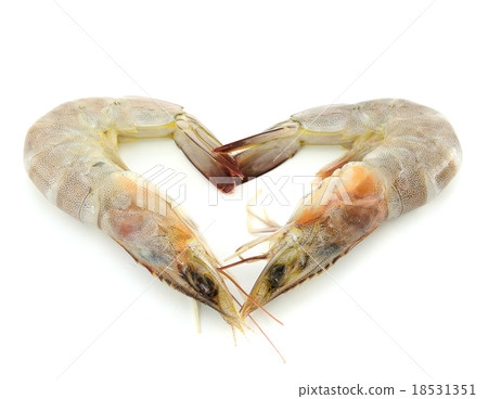 Raw shrimp 18531351