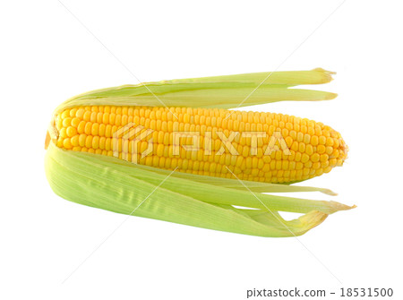 corn on a white background corn on a white background 18531500