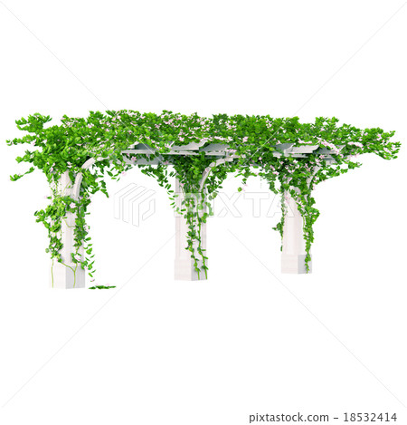 Wooden pergola with roses Wooden pergola with roses 18532414