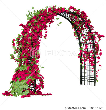 Arched pergola with roses 18532425