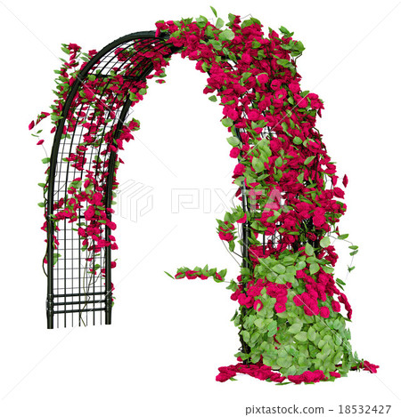 Arched pergola in perspective view 18532427