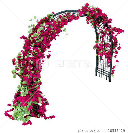 Black steel pergola 18532429